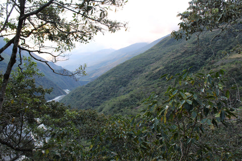 Peru Norma Veronica Huillca