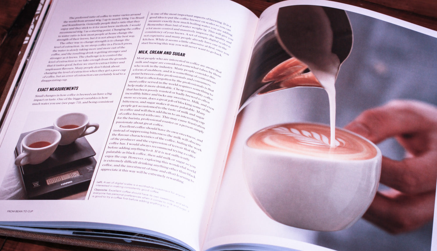 The World Atlas of Coffee Art s Coffee